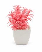 Artificial Pink Fern Plant in White Square Pot – Pack