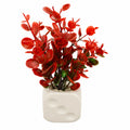 Artificial Red Leaf Plant in White Cube Pot – Pack of 2