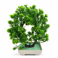 Artificial Round Bonsai Tree in Cream Rectangle Pot – Pack of 2
