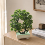 Artificial Round Bonsai Tree in Cream Rectangle Pot – Pack of 2 lifestyle