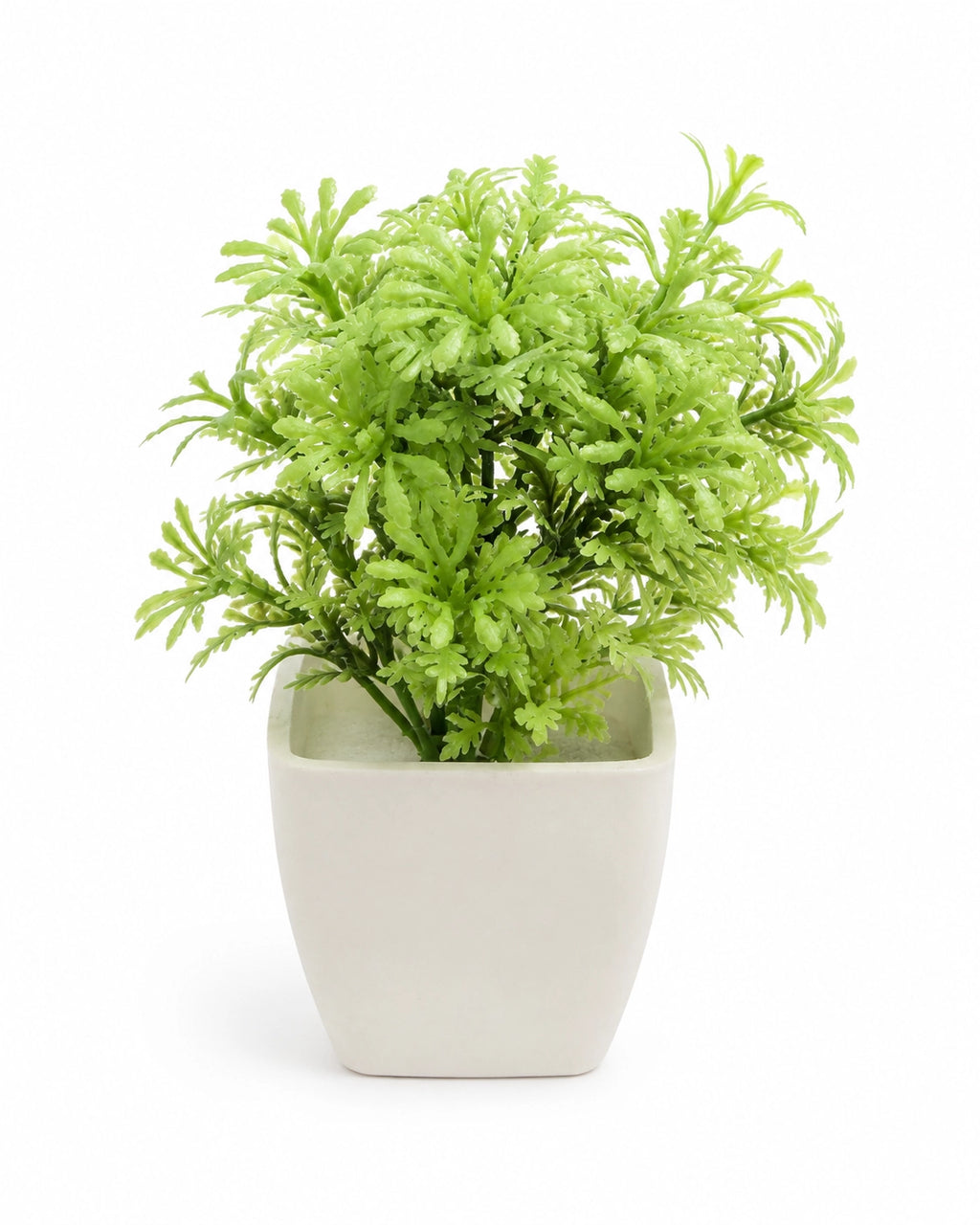 Artificial Round Green Fern Plant in White Square Pot – Pack of 2