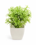 Artificial Round Green Fern Plant in White Square Pot – Pack of 2