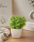 Artificial Round Green Fern Plant in White Square Pot – Pack of 2 lifestyle