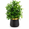 Artificial Round Green Leaf Plant in Dark Ribbed Pot – Pack of 2