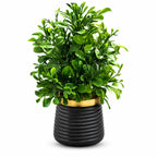 Artificial Round Green Leaf Plant in Dark Ribbed Pot – Pack of 2