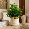 Artificial Round Green Leaf Plant in White Ribbed Pot – Pack of 2