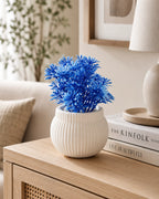 Artificial Small Blue Fern Plant in White Round Pot – Pack of 2 lifestyle