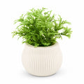Artificial Small Bright Green Fern Plant in White Round Pot – Pack of 2