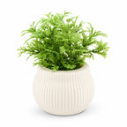 Example bright green fern design for assorted small artificial plants in round pots