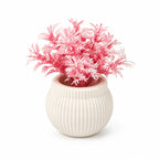 Artificial Small Frosted Pink Fern Plant in White Round Pot – Pack of 2