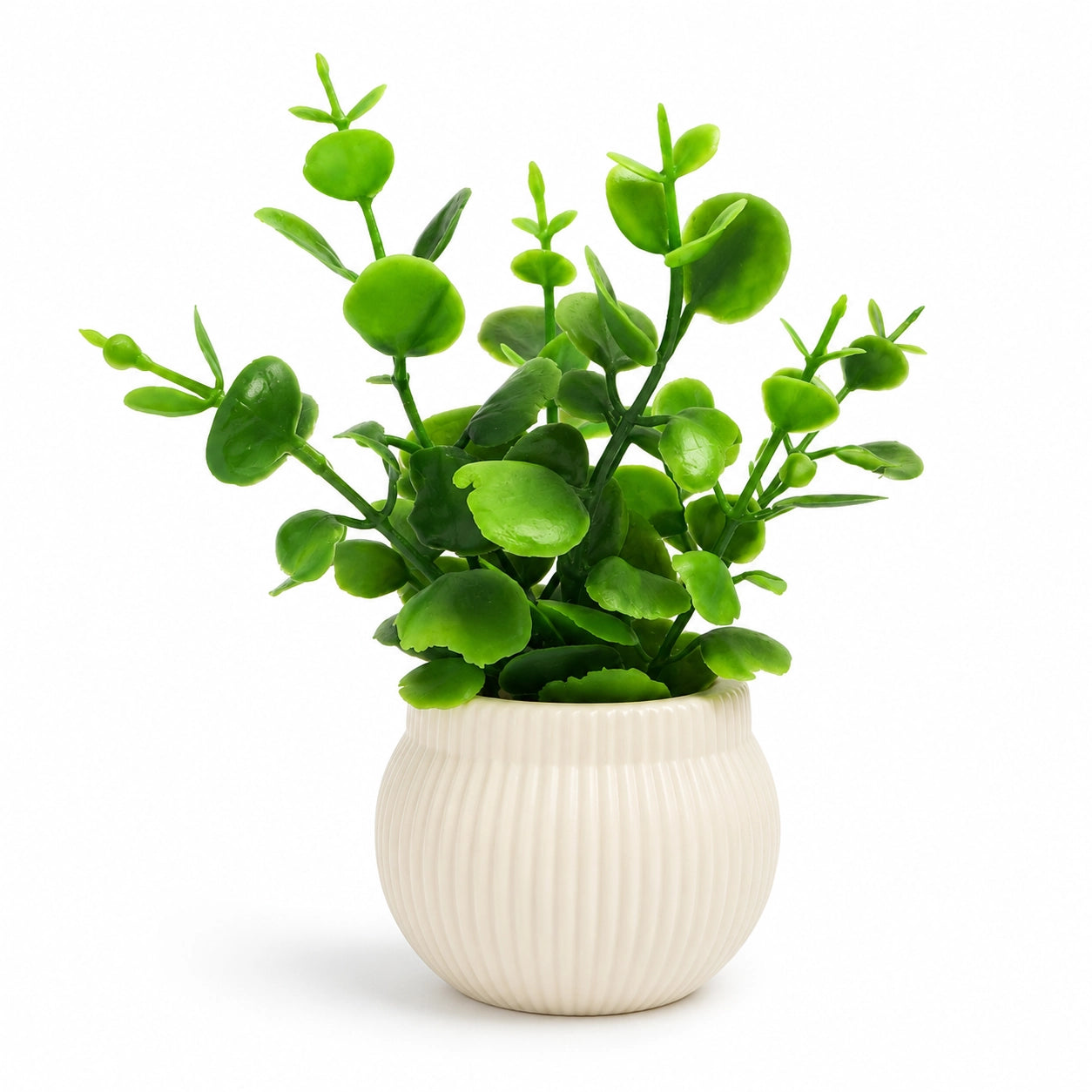 Artificial Small Green Coin Leaf Plant in White Round Pot – Pack of 2