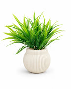 Small Spiky Artificial Plant in White Round Pot – Pack of 2