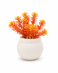 Artificial Small Orange Fern Plant in White Round Pot – Pack of 2