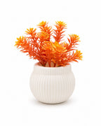 Artificial Small Orange Fern Plant in White Round Pot – Pack of 2