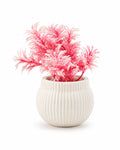 Artificial Small Pink Plant in White Round Pot – Pack of 2