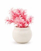 Artificial Small Pink Plant in White Round Pot – Pack of 2