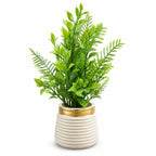 Artificial Tall Green Fern Plant in White Ribbed Pot – Pack of 2