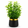 Artificial Tall Green Leaf Plant in Black Ribbed Pot – Pack of 2