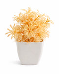 Artificial Yellow Fern Plant in White Square Pot – Pack of 5