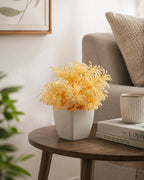 Artificial Yellow Fern Plant in White Square Pot – Pack of 5 lifestyle