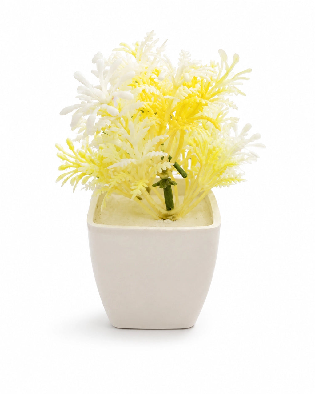 Artificial Yellow White Fern Plant in White Square Pot – Pack of 5