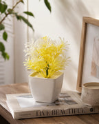 Artificial Yellow White Fern Plant in White Square Pot – Pack of 5 lifestyle