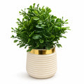 Green Leaf Ribbed Pot – Pack of 2