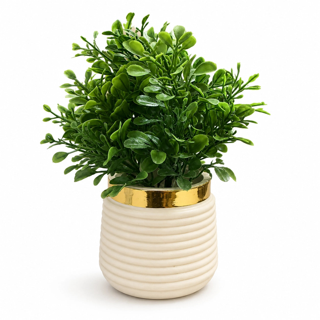 Green Leaf Ribbed Pot – Pack of 2
