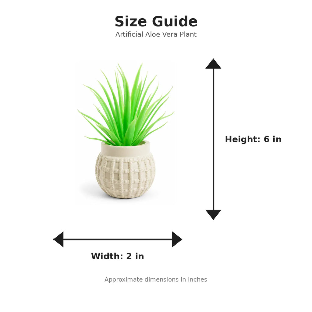 Size guide with product image - 6 x 2 inches