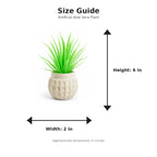Size guide with product image - 6 x 2 inches