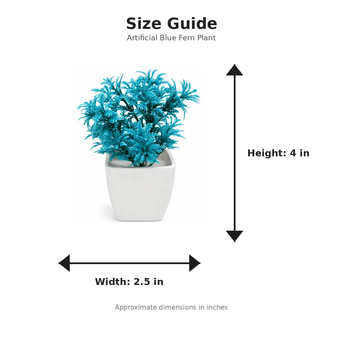 Size guide with product image - 4 x 2.5 inches