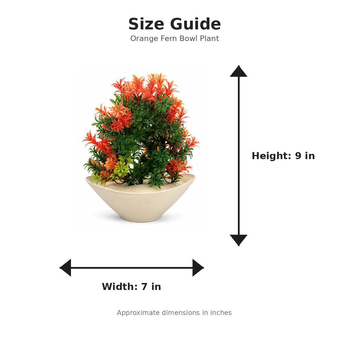 Product size chart - 9 x 7 inches