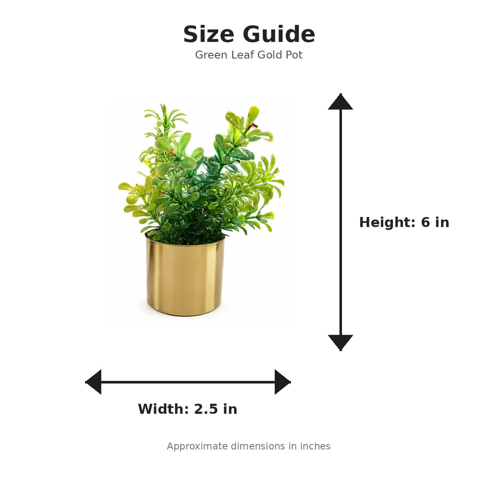 Product size chart