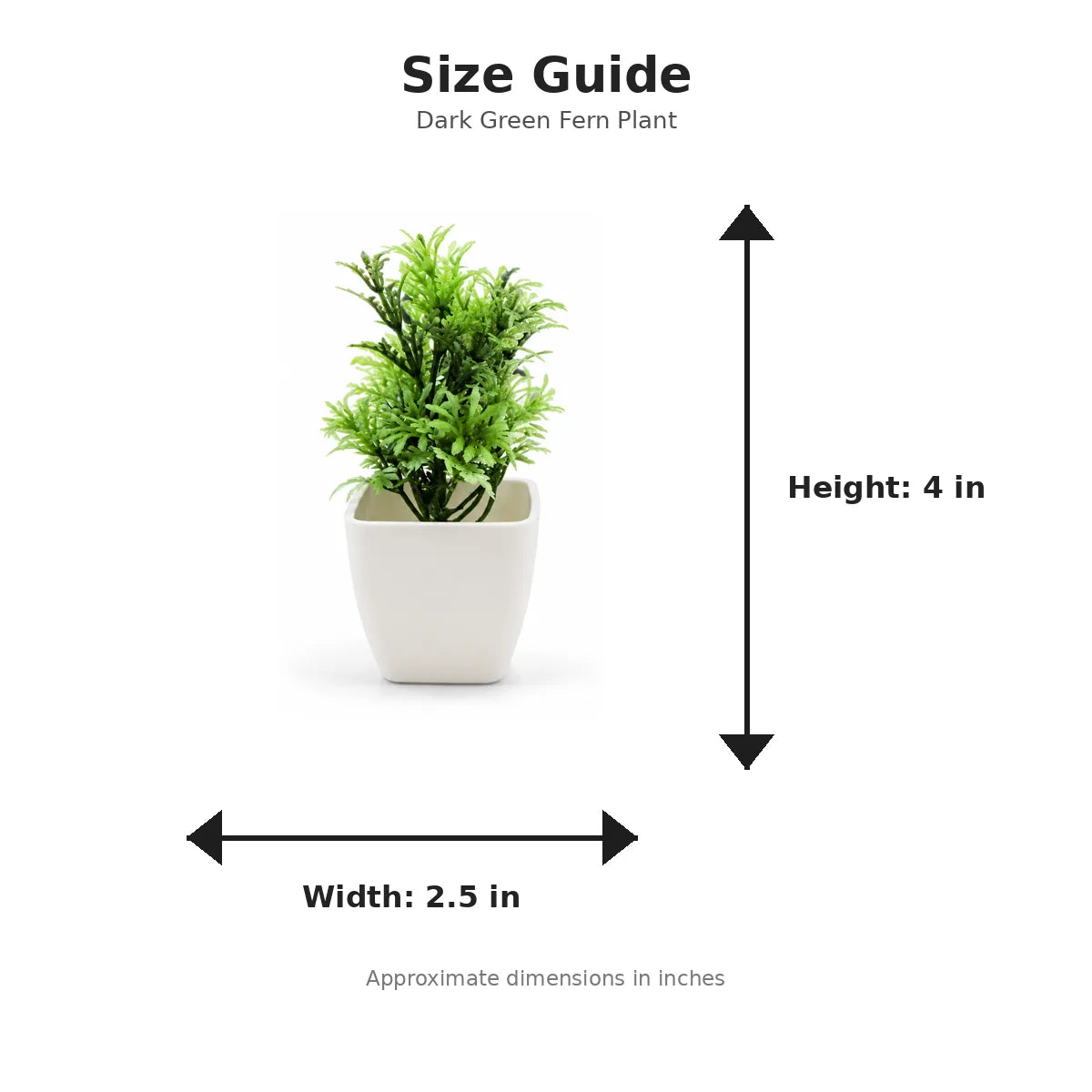 Size guide with product image - 4 x 2.5 inches