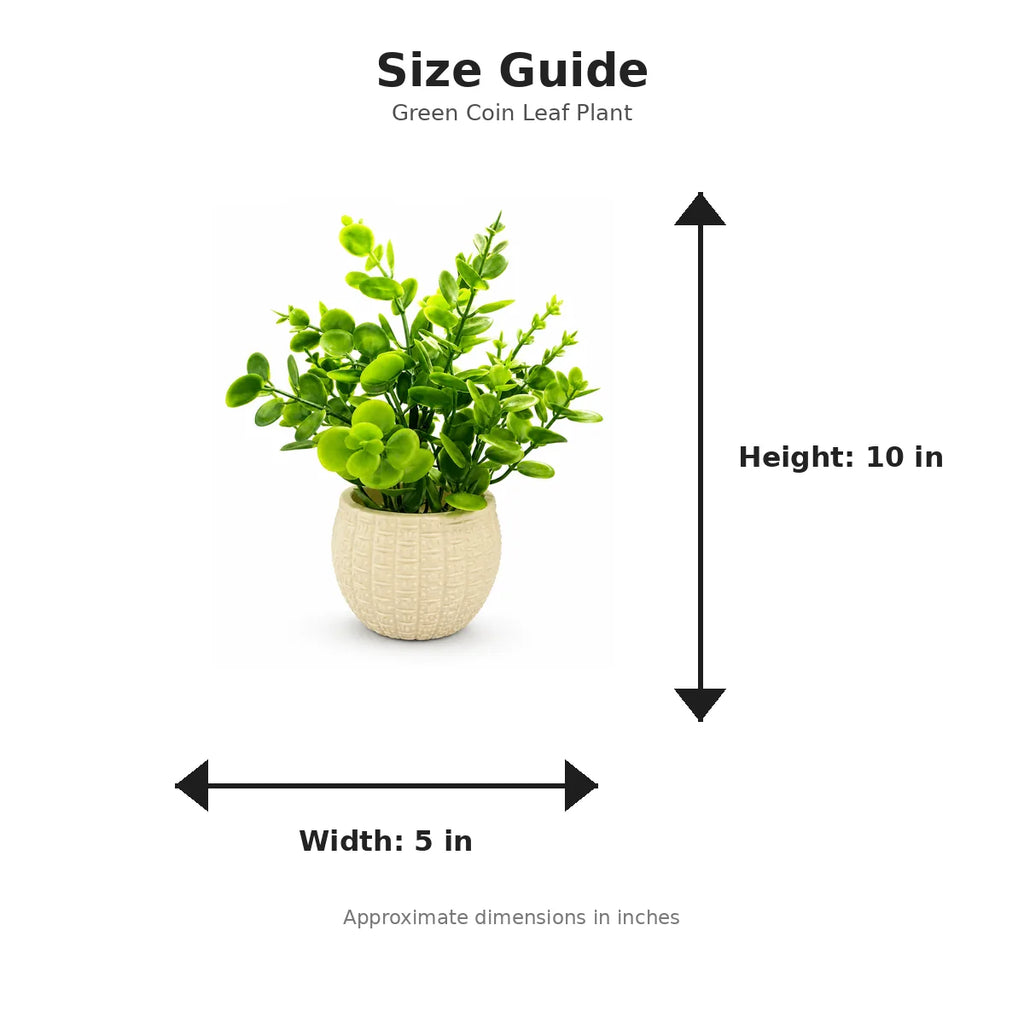 Size guide with product image - 10 x 5 inches