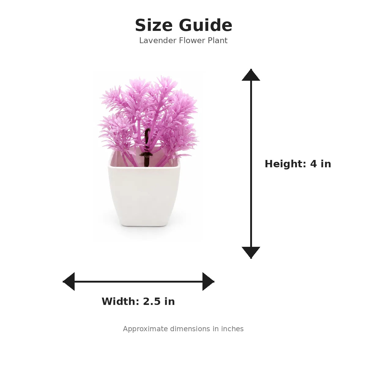 Size guide with product image - 4 x 2.5 inches