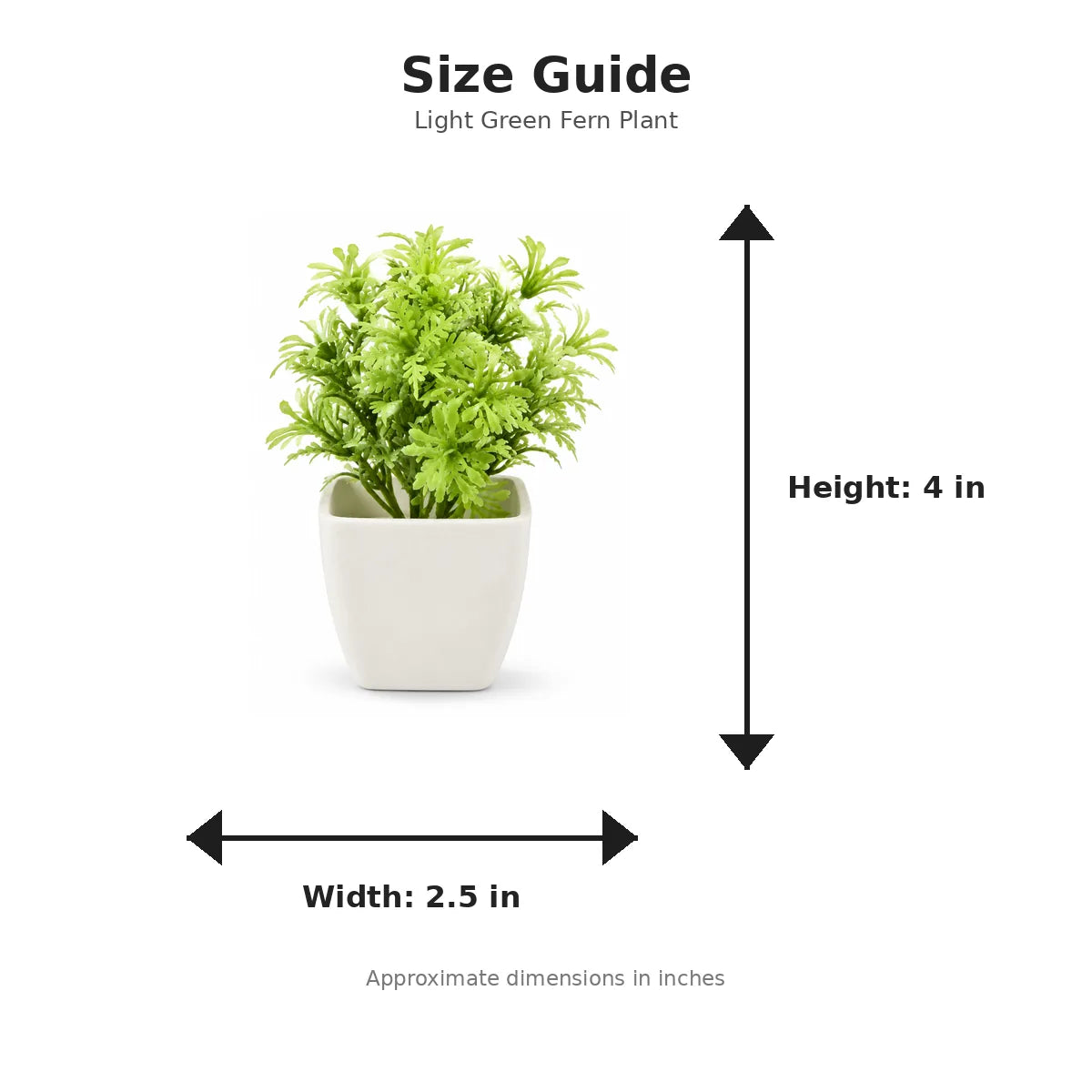 Size guide with product image - 4 x 2.5 inches