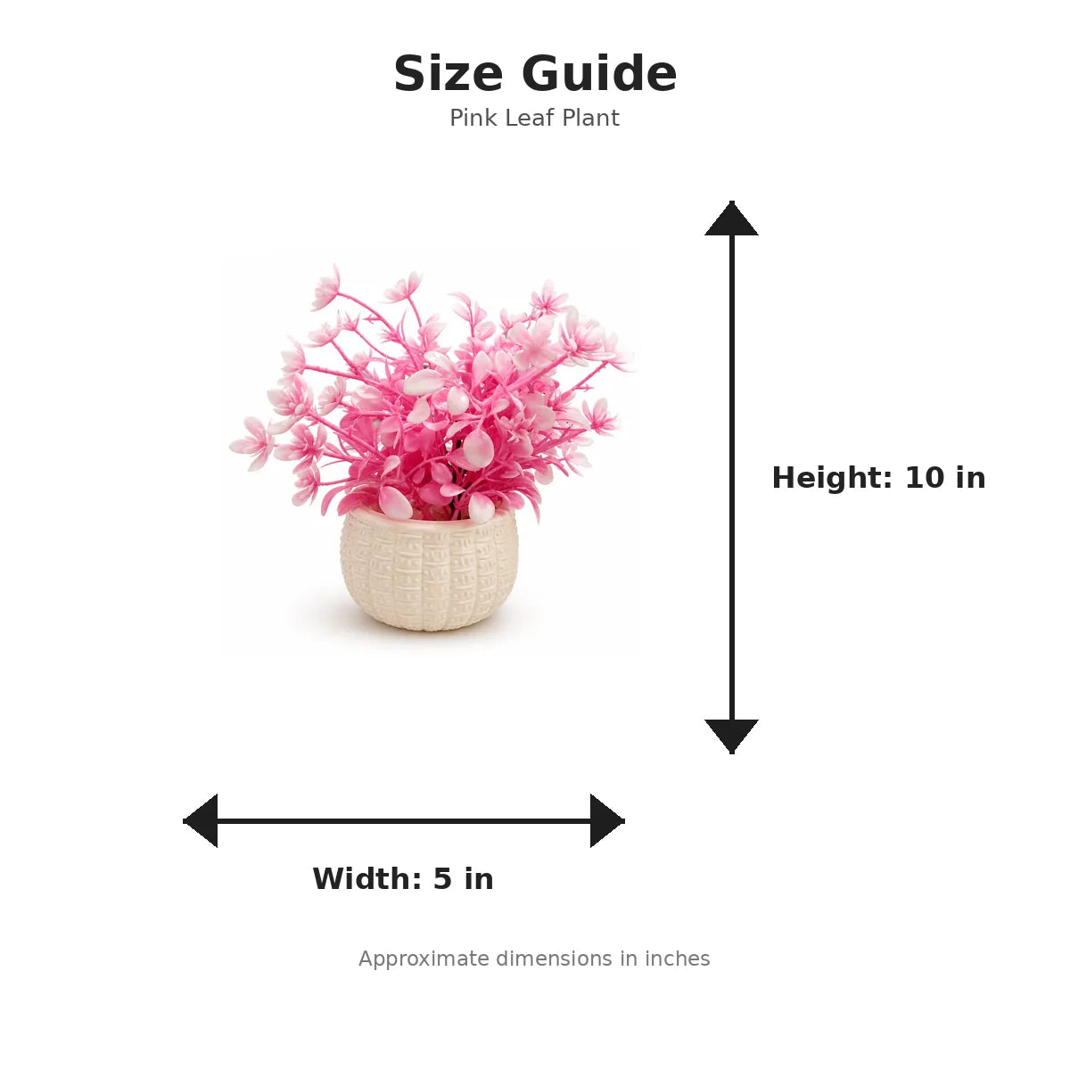 Size guide with product image - 10 x 5 inches