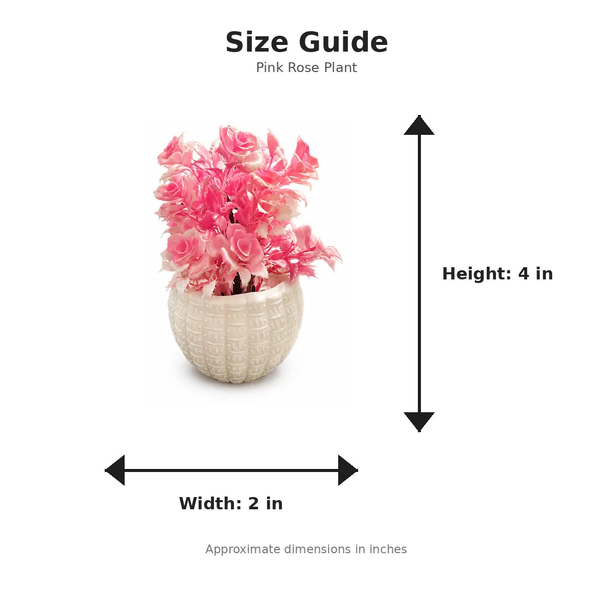Size guide with product image - 4 x 2 inches