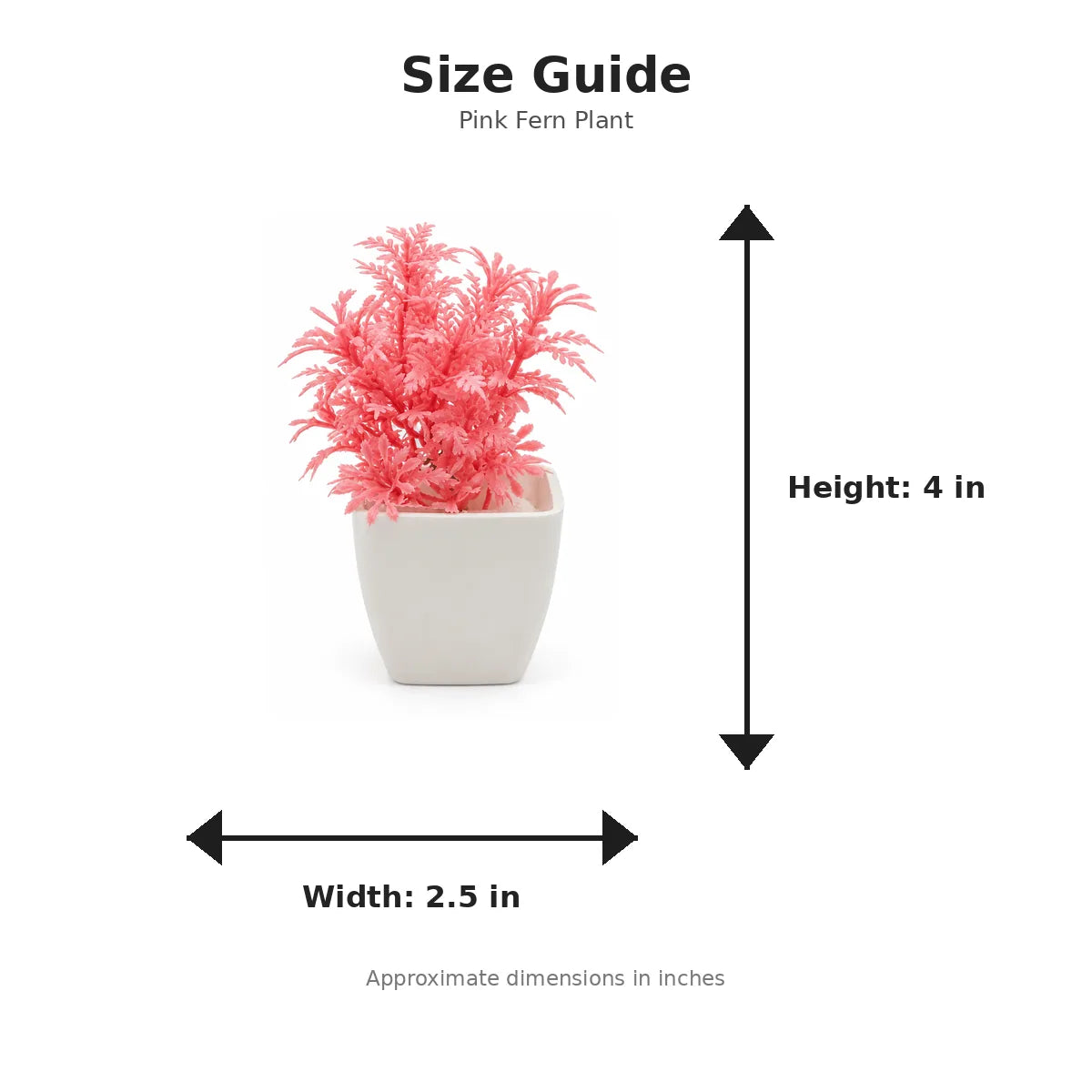 Size guide with product image - 4 x 2.5 inches