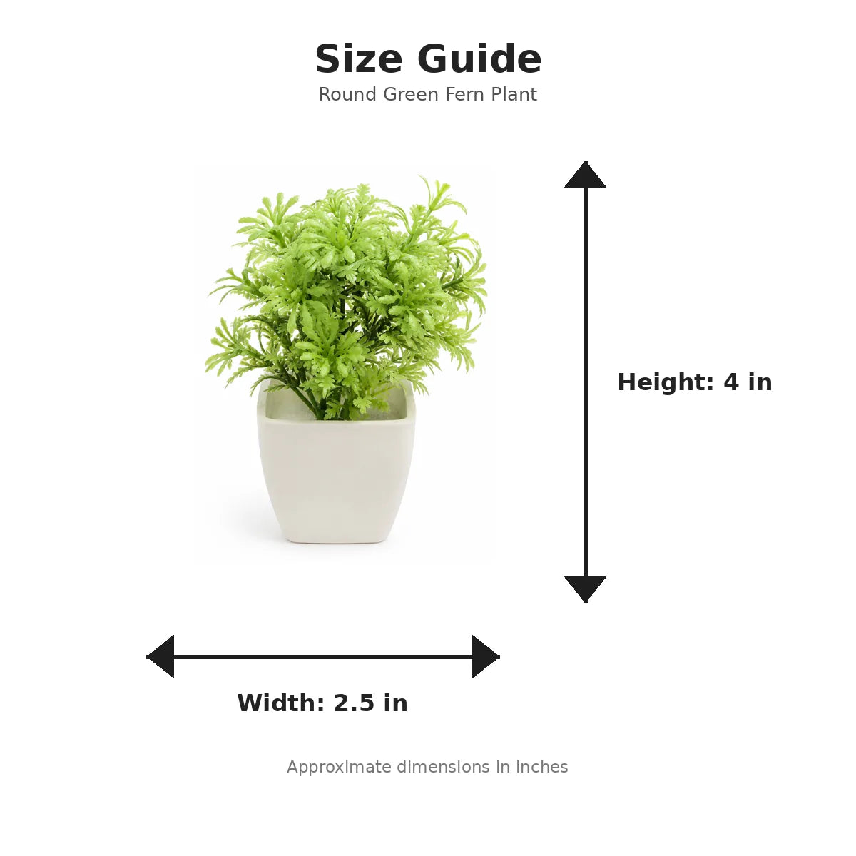 Size guide with product image - 4 x 2.5 inches
