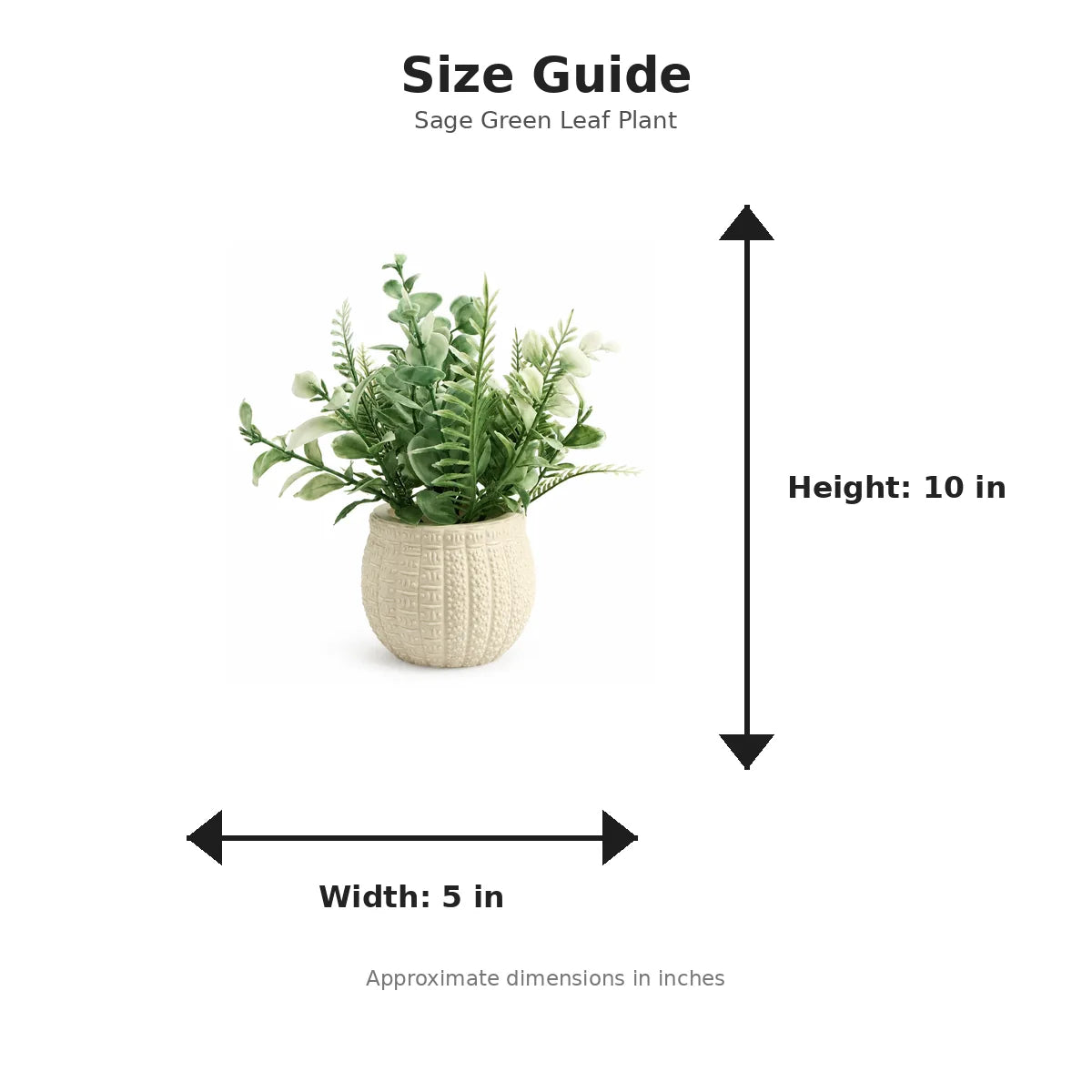 Size guide with product image - 10 x 5 inches