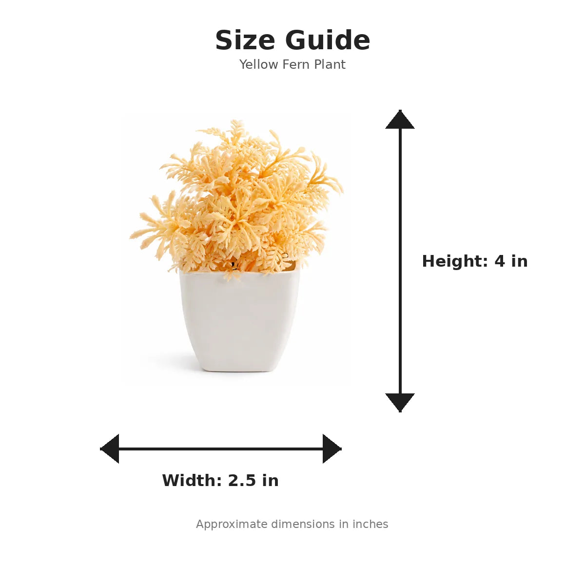 Size guide with product image - 4 x 2.5 inches
