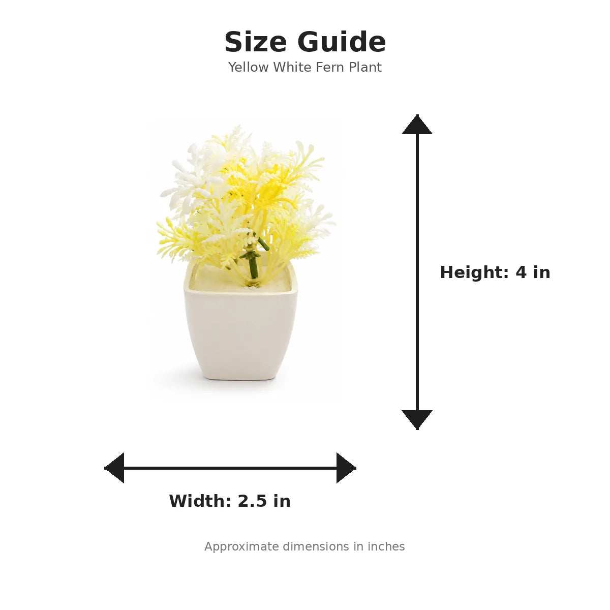 Size guide with product image - 4 x 2.5 inches