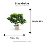 Artificial Bonsai Tree Plant size guide - 10 x 5 inches