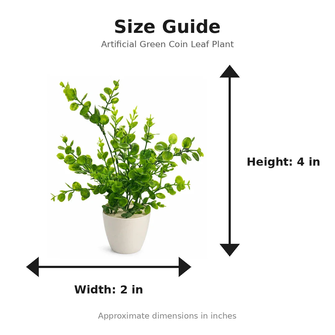 Artificial Green Coin Leaf Plant in Cream Pot size guide - 4 x 2 inches