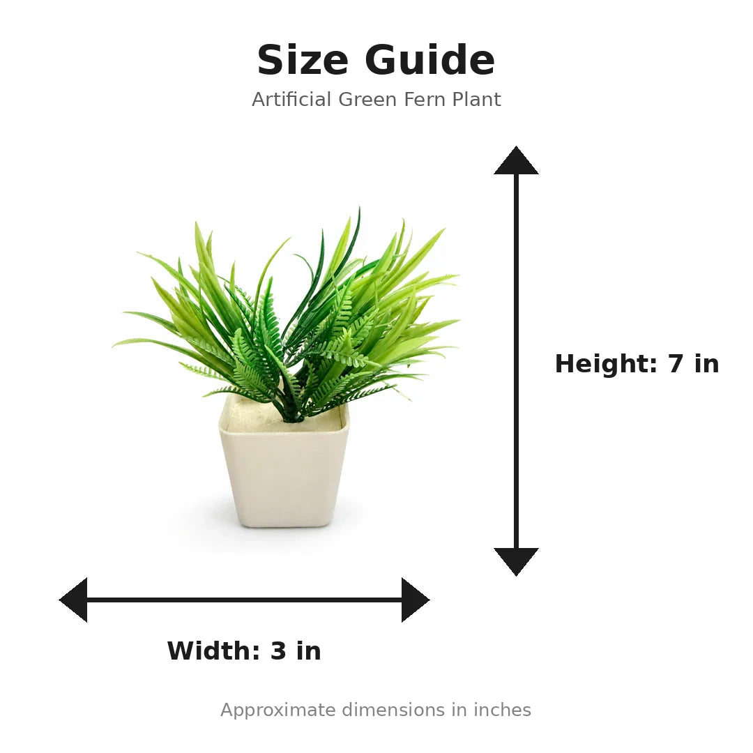 Artificial Green Fern Plant in Cream Square Pot size guide - 7 x 3 inches