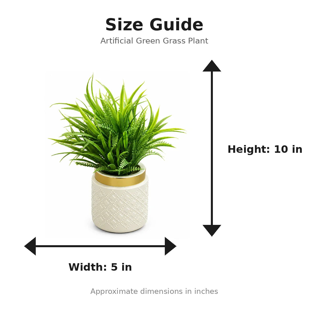 Artificial Green Grass Plant in White Pot size guide - 10 x 5 inches