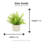 Artificial Green Leaf Plant in White Beaded Pot size guide - 7 x 3 inches