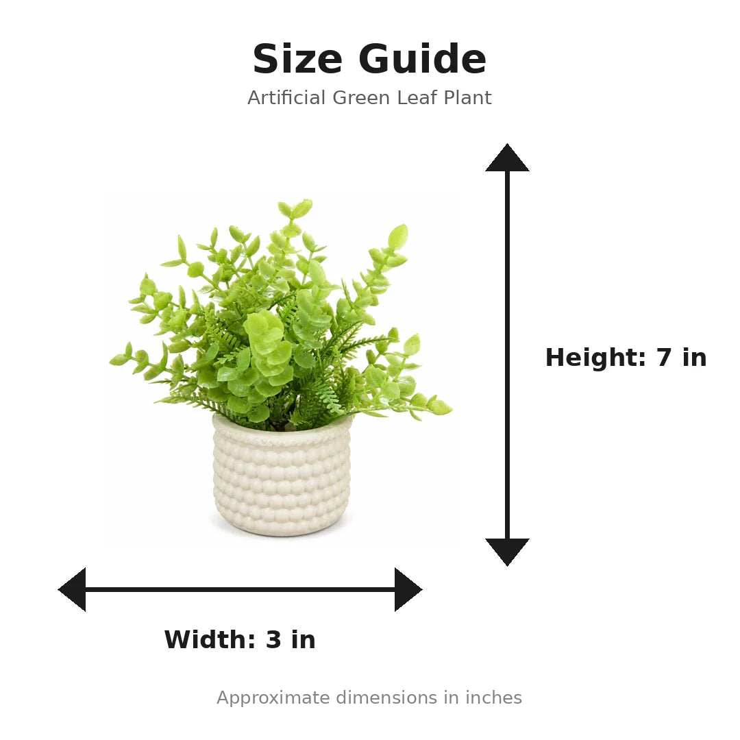 Artificial Green Leaf Plant in White Beaded Pot size guide - 7 x 3 inches